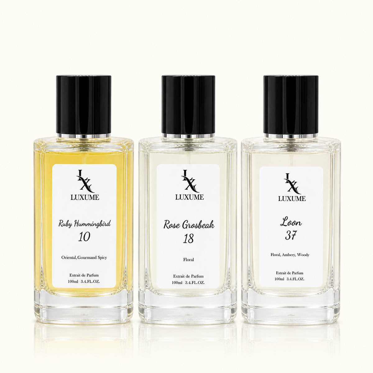 The Feminine Signature Bundle